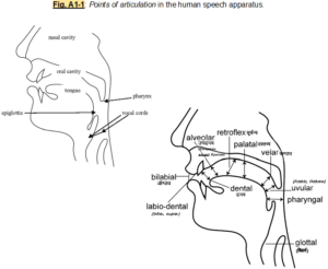 NAVLIPI_PRIMERS_PHONETICS_11.1 – NAVLIPI